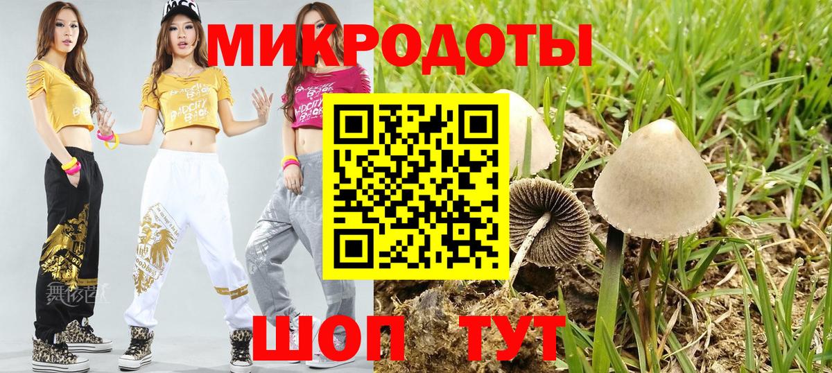 Псилоцибиновые грибы Cubensis  Вход с VPN  Кировск 